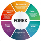 forex.png